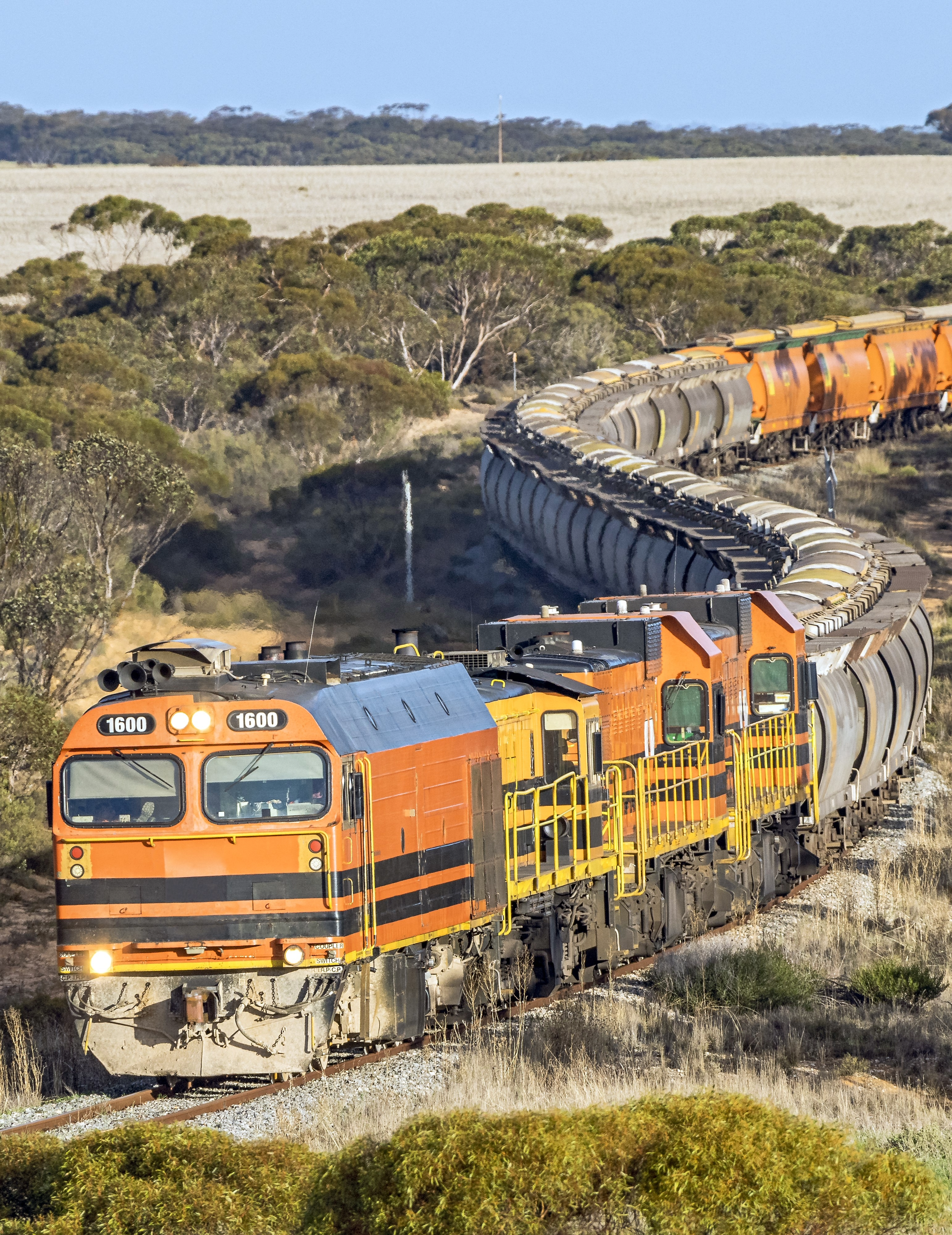 Freight train driving through a field